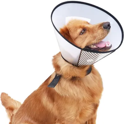 IntiMeg Bouclier de récupération de stérilisation