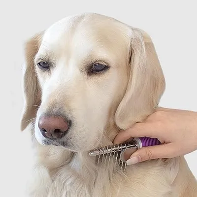 IntiMeg Peigne pour animaux de compagnie