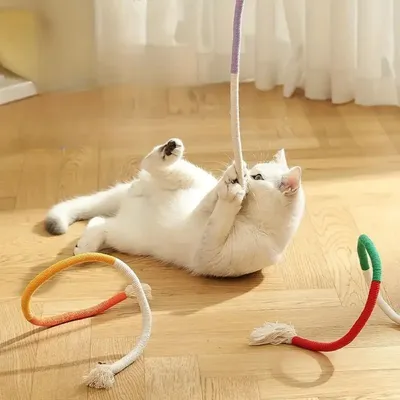 IntiMeg Katzenspielzeug Beißseil