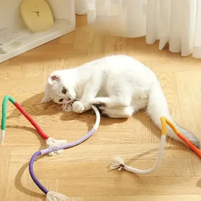 IntiMeg Katzenspielzeug Beißseil