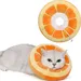 IntiMeg Collier pour chat orange