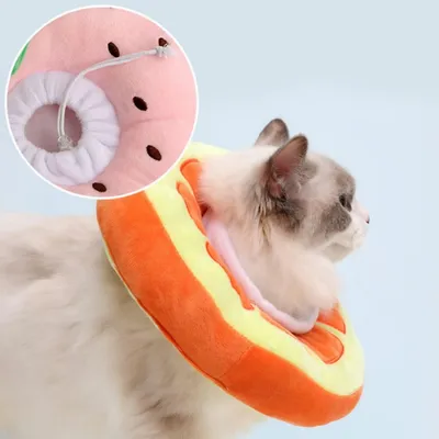 IntiMeg Collier pour chat orange IntiMeg Collier pour chat orange