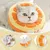 IntiMeg Collier pour chat orange IntiMeg Collier pour chat orange