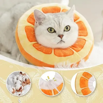 IntiMeg Collier pour chat orange IntiMeg Collier pour chat orange