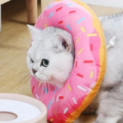 IntiMeg Collier Donut pour chat