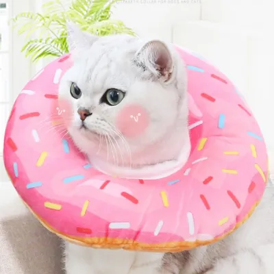 IntiMeg Collier Donut pour chat IntiMeg Collier Donut pour chat