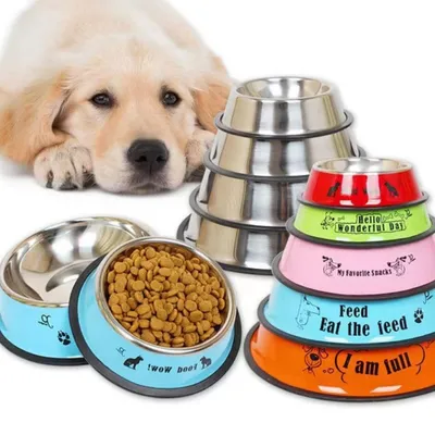 IntiMeg Gamelle pour chien 2 pièces