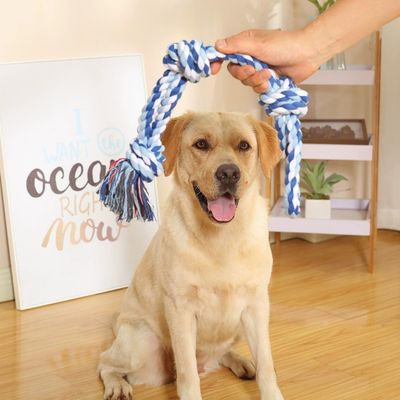 IntiMeg Jouet-corde pour chien 2 - pack