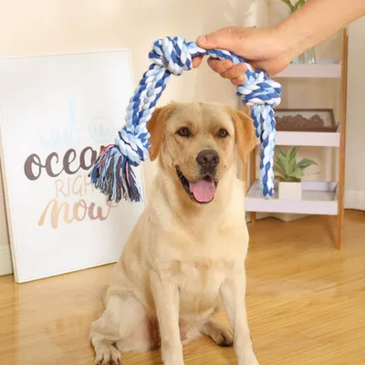 IntiMeg Hundespielzeug-Seil, 2er-Pack IntiMeg Hundespielzeug-Seil, 2er-Pack