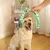 IntiMeg Hundespielzeug-Seil, 2er-Pack IntiMeg Hundespielzeug-Seil, 2er-Pack
