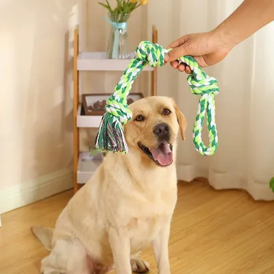 IntiMeg Hundespielzeug-Seil, 2er-Pack IntiMeg Hundespielzeug-Seil, 2er-Pack