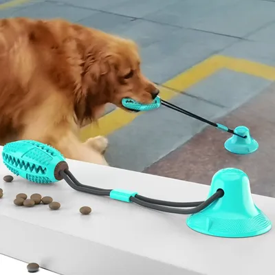 IntiMeg  Jouet pour chien avec boule à ventouse et nœud
