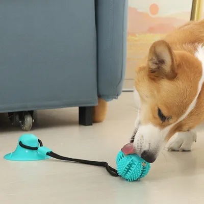 IntiMeg  Hundespielzeug mit Saugnapfball und Knoten