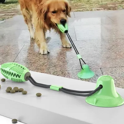 IntiMeg  Hundespielzeug mit Saugnapfball und Knoten