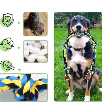 IntiMeg 9-teiliges Hundespielzeug-Set