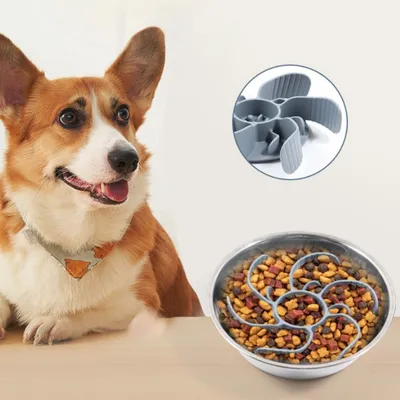IntiMeg Distributeur de nourriture lente pour chien