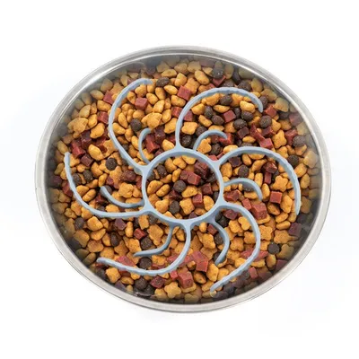 IntiMeg Distributeur de nourriture lente pour chien