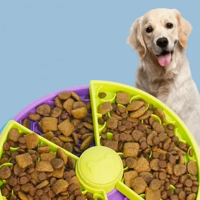 IntiMeg Bol rotatif à 3 couches pour alimentation lente