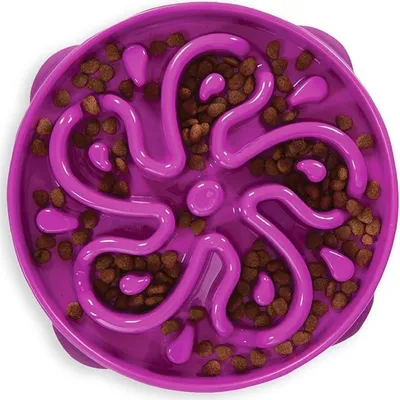 IntiMeg Bol Slow Food en forme de fleur IntiMeg Bol Slow Food en forme de fleur