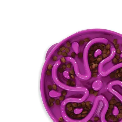 IntiMeg Bol Slow Food en forme de fleur