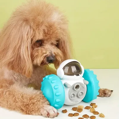 IntiMeg  Jouet pour chien qui fuit la nourriture et équilibre la voiture