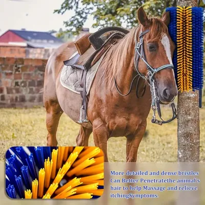 IntiMeg Brosse de nettoyage pour chevaux