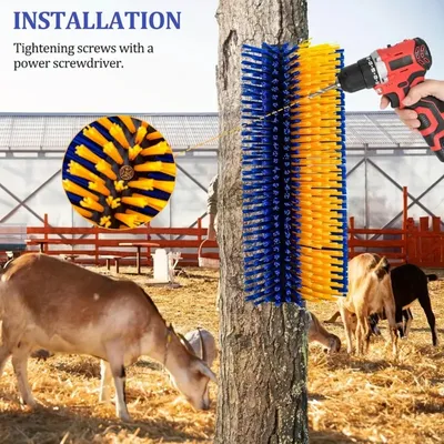 IntiMeg Brosse de nettoyage pour chevaux