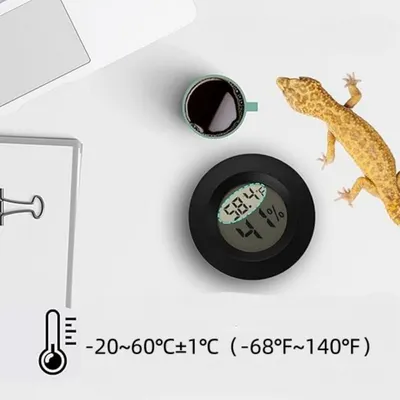 IntiMeg Thermomètre et hygromètre pour reptiles IntiMeg Thermomètre et hygromètre pour reptiles