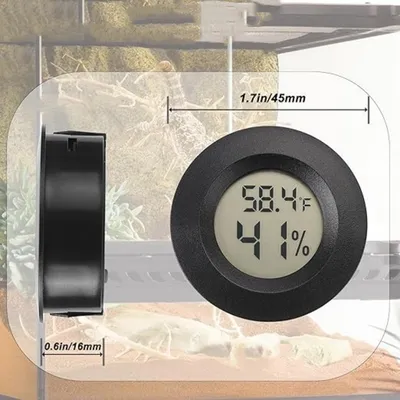 IntiMeg Thermomètre et hygromètre pour reptiles IntiMeg Thermomètre et hygromètre pour reptiles