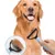 IntiMeg Peigne démêlant double face pour chien