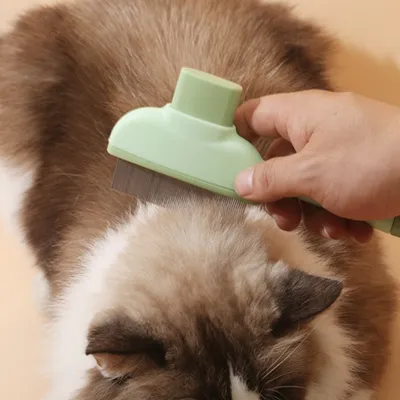 IntiMeg Peigne à poux pour animaux