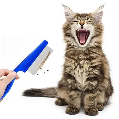 IntiMeg Peigne anti-puces pour animaux, lot de 5