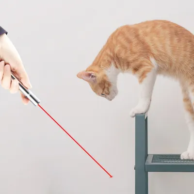 IntiMeg Stylo laser jouet pour chat