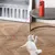 IntiMeg  Jouet pour chat laser automatique