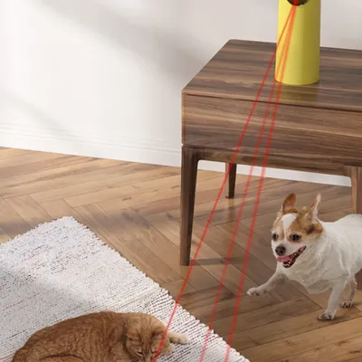IntiMeg  Jouet pour chat laser automatique