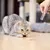 IntiMeg  Stylo laser jouet pour chat