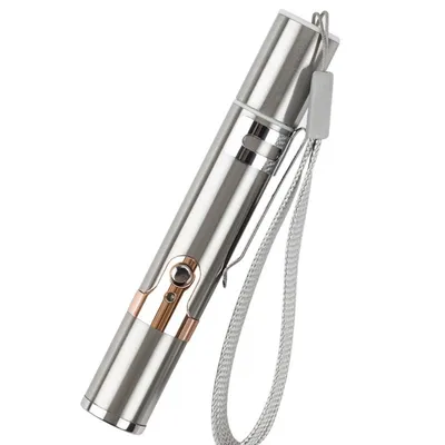 IntiMeg  Stylo laser jouet pour chat