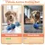 IntiMeg Jouet interactif pour chien - Balle sautante