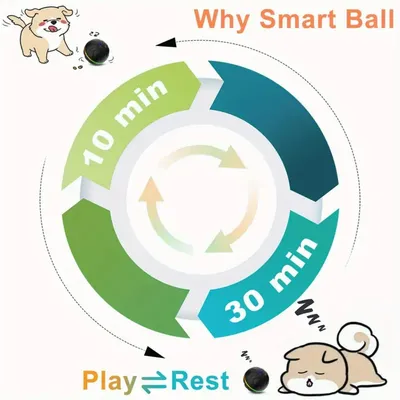 IntiMeg Jouet interactif pour chien - Balle sautante