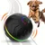 IntiMeg Jouet interactif pour chien - Balle sautante