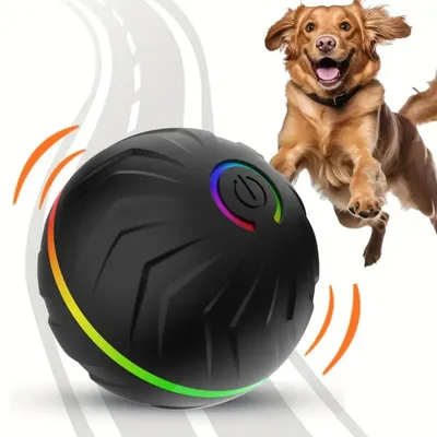 IntiMeg Jouet interactif pour chien - Balle sautante