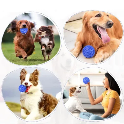 IntiMeg Jouet pour chien balle en nid d'abeille