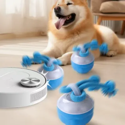 IntiMeg Jouet à bille roulante automatique