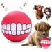 IntiMeg Quietschball für Hunde mit Smiley