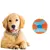 IntiMeg Jouet pour chien balle rebondissante