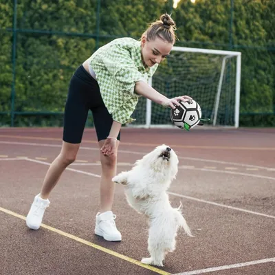 IntiMeg Jouet de football pour chien avec attache