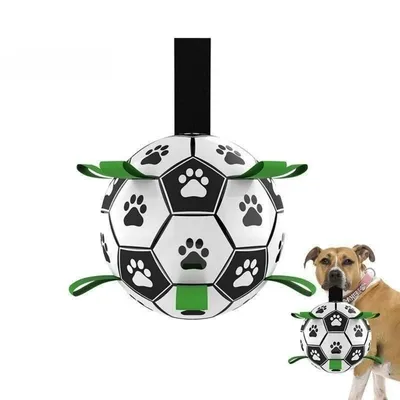 IntiMeg Jouet de football pour chien avec attache
