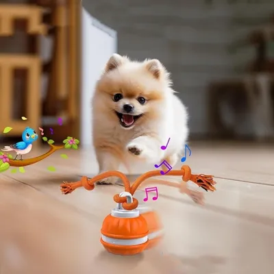 IntiMeg Jouet à bille roulante automatique