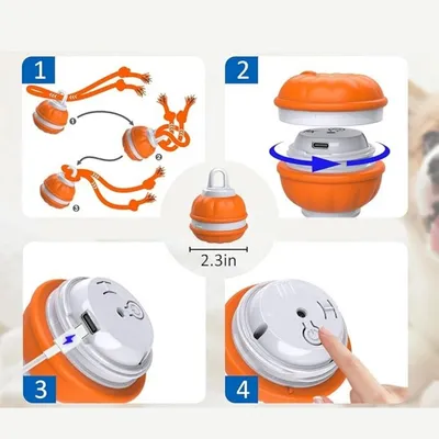 IntiMeg Jouet à bille roulante automatique