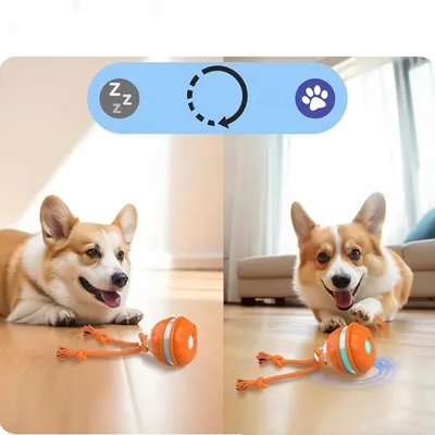 IntiMeg Jouet à bille roulante automatique